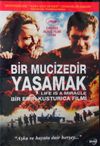 Bir Mucizedir Yaşamak - Life is A Miracle (Dvd)