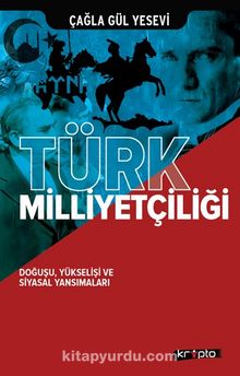 Türk Milliyetçiliği & Doğuşu, Yükselişi ve Siyasal Yansımaları
