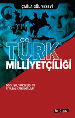 Türk Milliyetçiliği & Doğuşu, Yükselişi ve Siyasal Yansımaları