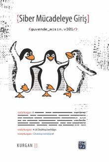 Siber Mücadeleye Giriş