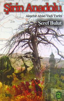 Şirin Anadolu & Akşehir Abad Vadi Tarihi