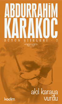 Akıl Karaya Vurdu / Bütün Şiirleri 7