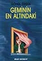 Geminin En Altındaki