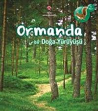 Ormanda Bir Doğa Yürüyüşü