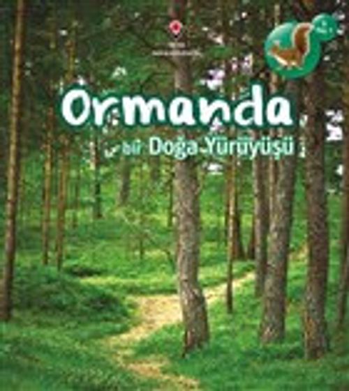 Ormanda Bir Doğa Yürüyüşü