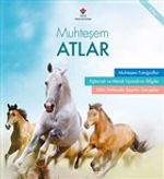 Muhteşem Atlar