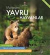Muhteşem Yavru Hayvanlar