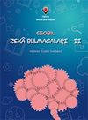 Zeka Bulmacaları 2 / Esobil