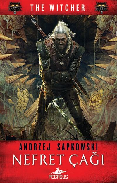 The Witcher Serisi Kutulu Özel Set (8 Kitap) (Andrzej Sapkowski