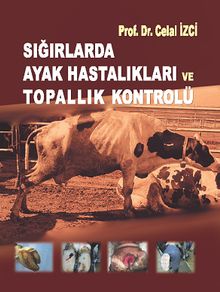 Sığırlarda Ayak Hastalıkları ve Topallık Kontrolü