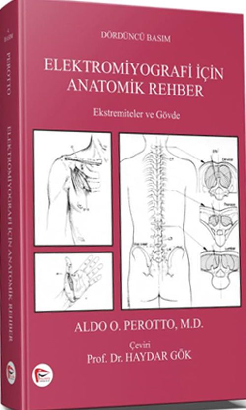 Elektromiyografi için Anatomik Rehber & Ekstremiteler ve Gövde