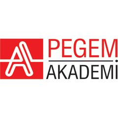 PEGEM AKADEMİ YAYINCILIK