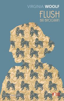 Flush & Bir Biyografi