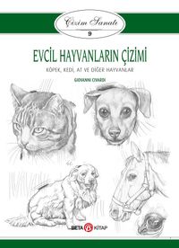 Evcil Hayvanların Çizimi