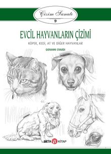 Evcil Hayvanların Çizimi