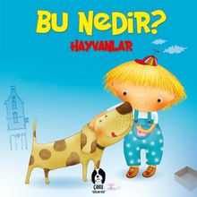 Bu Nedir? / Hayvanlar