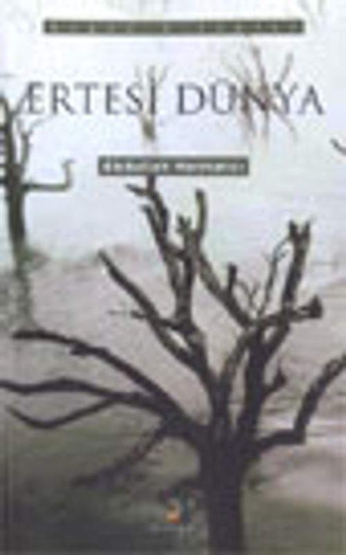 Ertesi Dünya