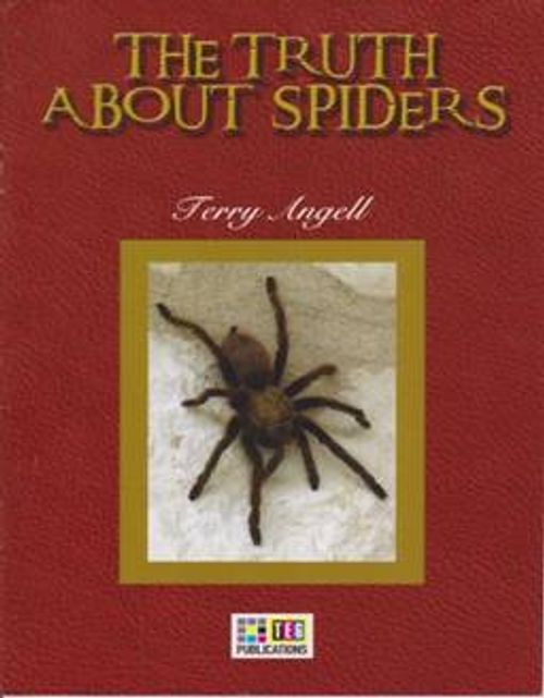 The Truth About Spiders / Stage 4