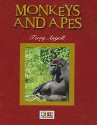 Monkeys And Apes / Stage 4