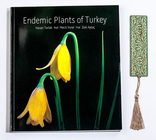 Türkiye'nin Endemik Bitkileri (İngilizce) + Bambu Ayraç Motifli Baskı - Turkuaz Lale