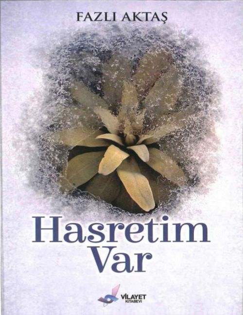Hasretim Var