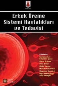 Erkek Üreme Sistemi Hastalıkları ve Tedavisi