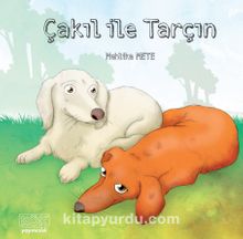 Çakıl ile Tarçın - Mehlika Mete
