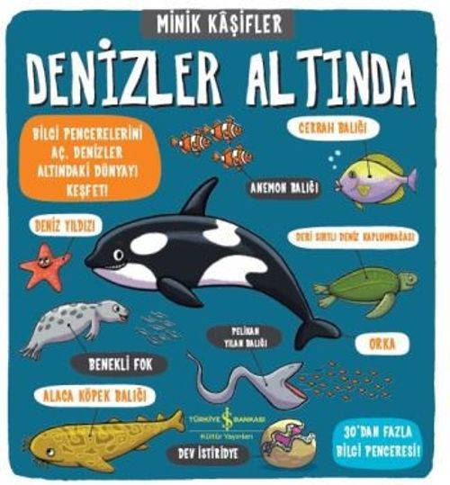 Minik Kaşifler / Denizler Altında