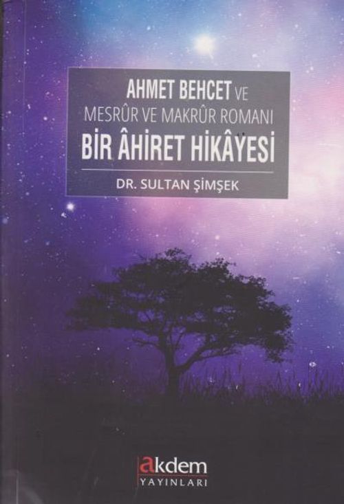 Bir Ahiret Hikayesi & Ahmet Behcet ve Mesrur ve Makrur Romanı 