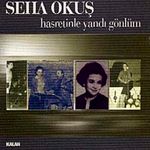 Hasretinle Yandı Gönlüm