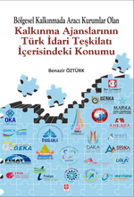 Bölgesel Kalkınmada Aracı Kurumlar Olan Kalkınma Ajanslarının Türk İdari Teşkilatı İçerisindeki Konumu