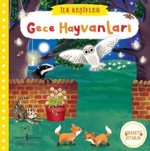 Hareketli Gece Hayvanları 