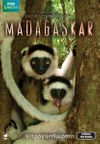 Madagaskar (Dvd)