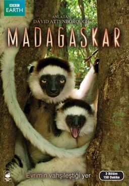 Madagaskar (Dvd)