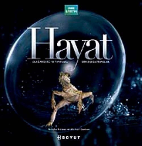 Hayat & Olağanüstü Hayvanlar Sıradışı Yaşamlar