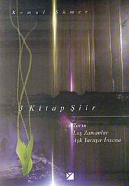 3 Kitap Şiir