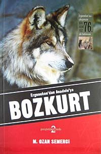 Ergenekon'dan Anadolu'ya Bozkurt / 10-A-4