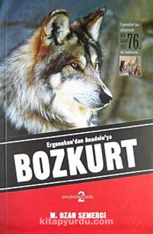 Ergenekon'dan Anadolu'ya Bozkurt - M. Ozan Semerci