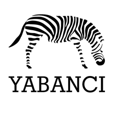 YABANCI YAYINLARI