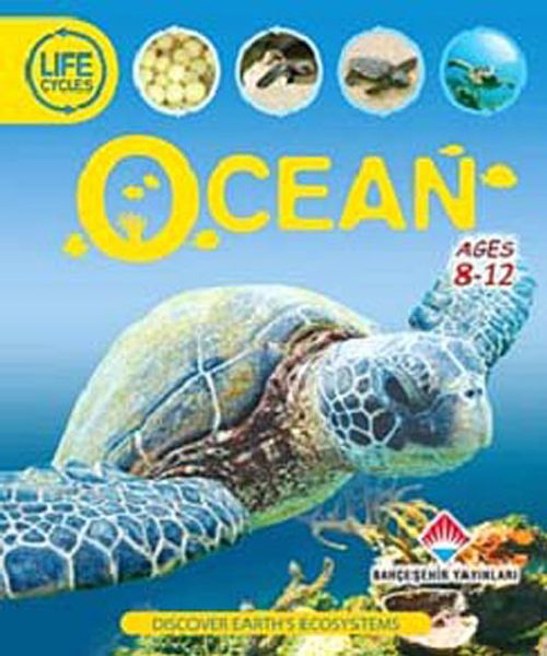 Ocean