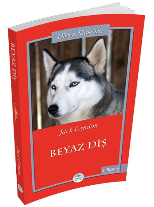 Beyaz Diş