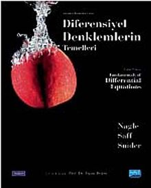 Diferensiyel Denklemlerin Temelleri