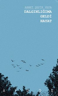 Dalgınlığıma Geldi Hayat 