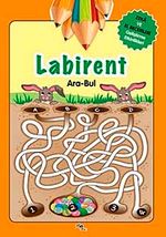 Labirent -  Ara-Bul