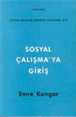 Sosyal Çalışmaya Giriş