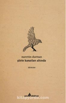 Şiirin Kanatları Altında - Nurettin Durman