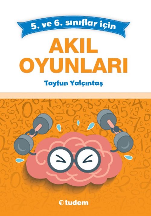 Akıl Oyunları (5. ve 6. Sınıflar İçin)