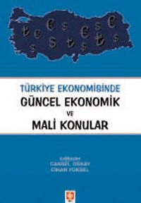 Türkiye Ekonomisinde Güncel Ekonomik ve Mali Konular