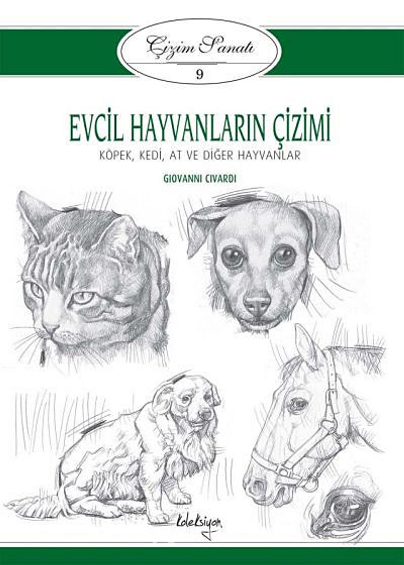 Evcil Hayvanlarin Cizimi Cizim Sanati 9 Kopek Kedi At Ve Diger Hayvanlar Giovanni Civardi Kitapyurdu Com