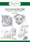 Evcil Hayvanların Çizimi / Çizim Sanatı 9 & Köpek, Kedi, At ve Diğer Hayvanlar